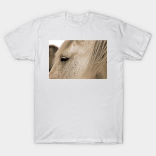 Eye of the Percheron T-Shirt